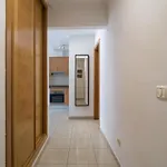 Remote Workers House By Canariasgetaway * لاس بالماس دي غران كاناريا
